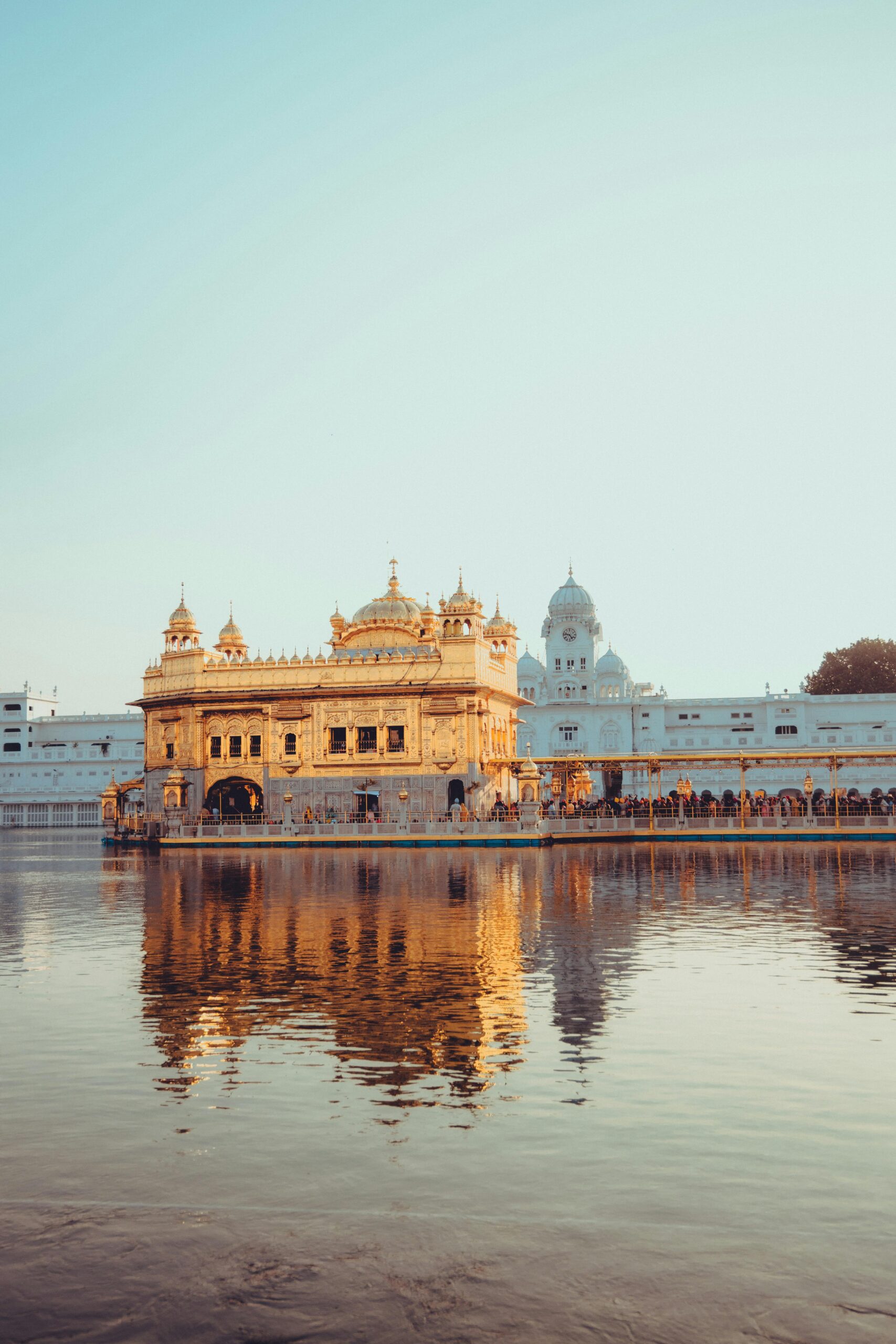 pexels-ammy-singh-294201421-15669533